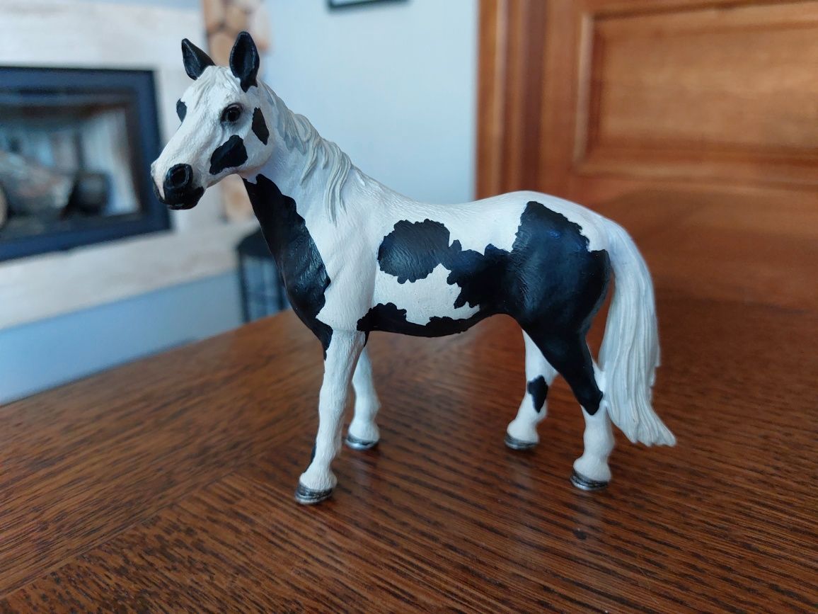 Klacz Pinto schleich