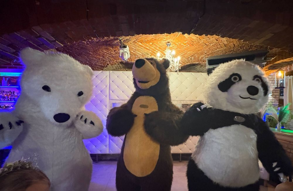 Miś Domiś, Miś Niko, Miś Panda do wynajęcia na każdą okazję.