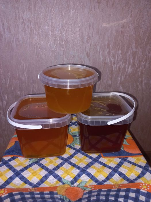 Мед свіжий 2025 року