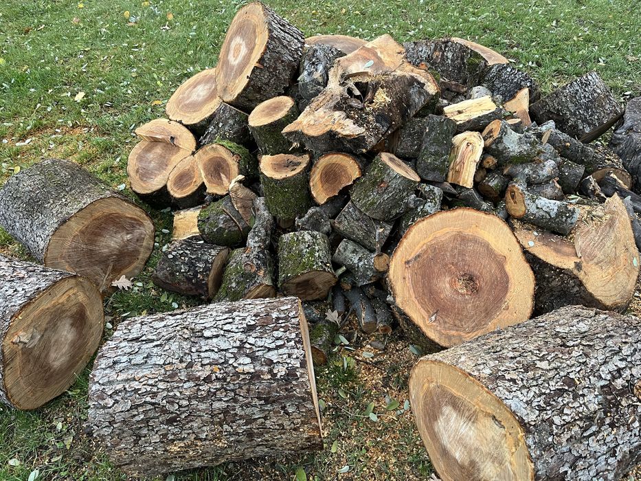 Drewno pocięte na opał