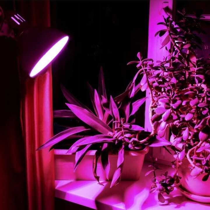 Żarówka LED filament E27 8W roślinna wzrostu grow