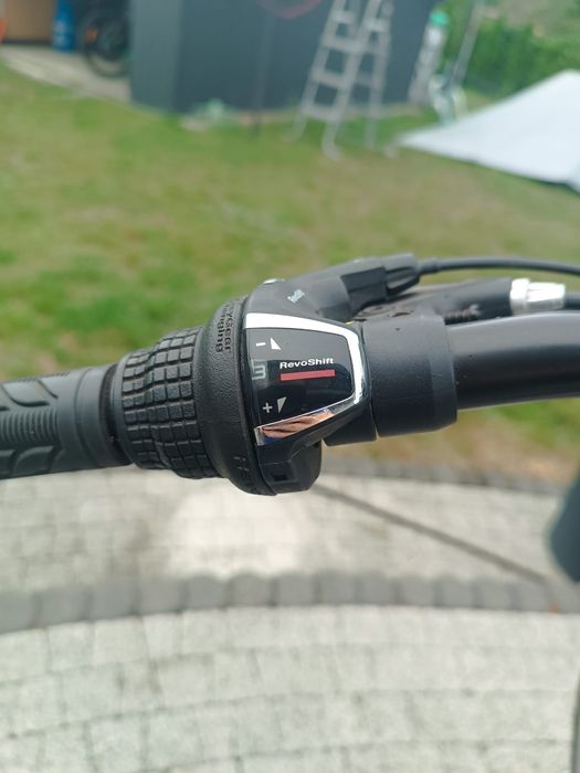 Rower Alpina eco