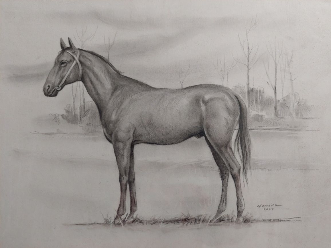 Lindo desenho cavalo emoldurado assinado