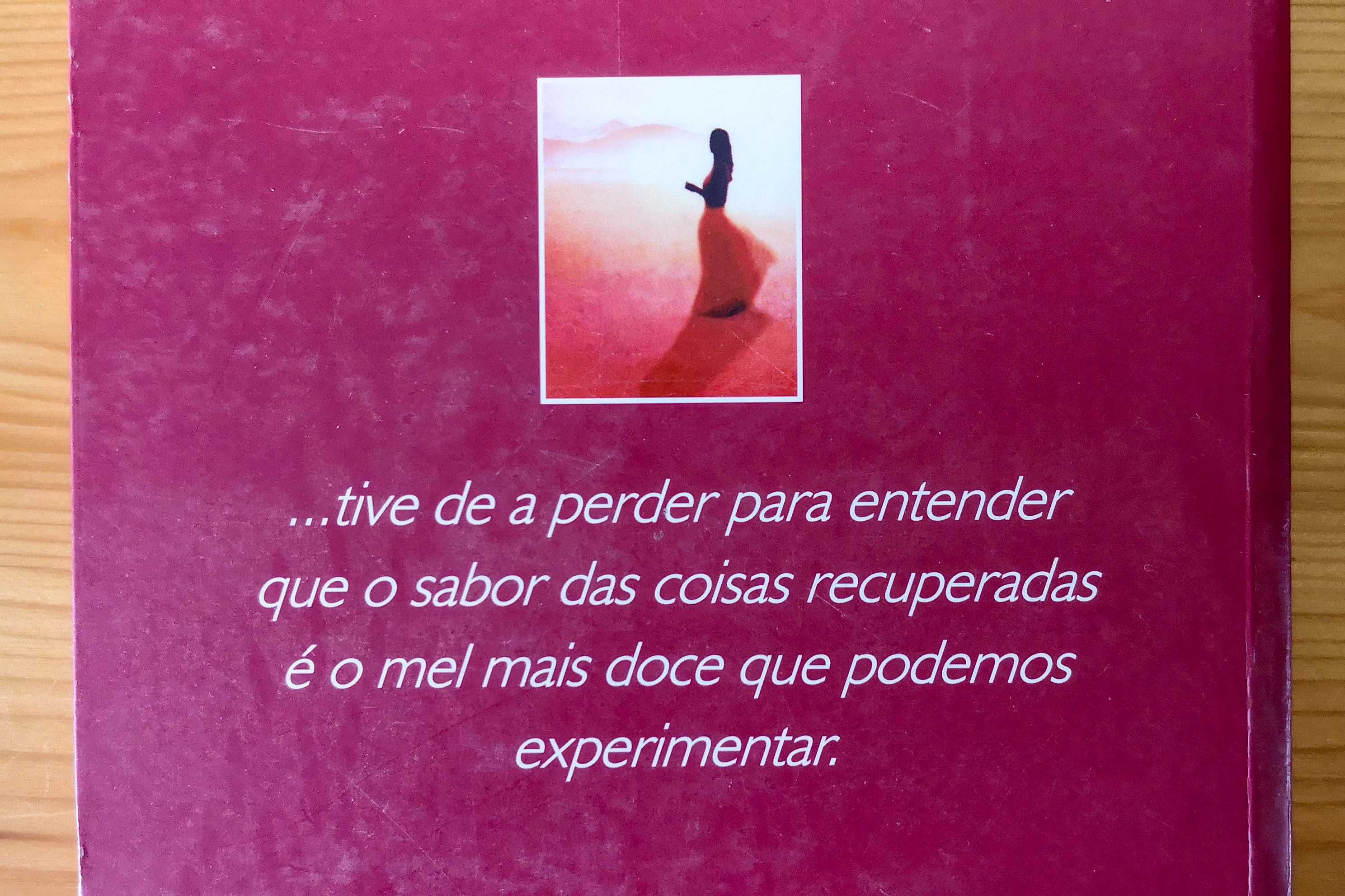 O Zahir - Paulo Coelho - Livro