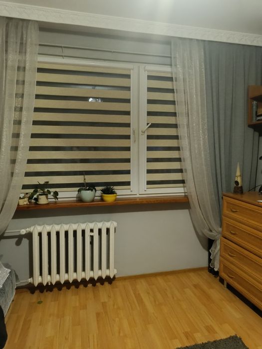 Mieszkanie na wynajem Syców Matejki