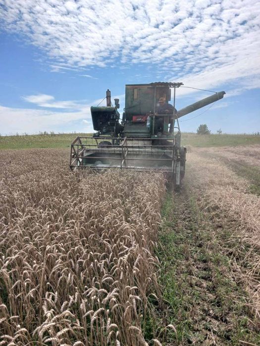 Продам комбайн Клас