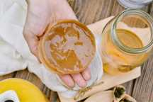 Kombucha SCOBY grzybek
