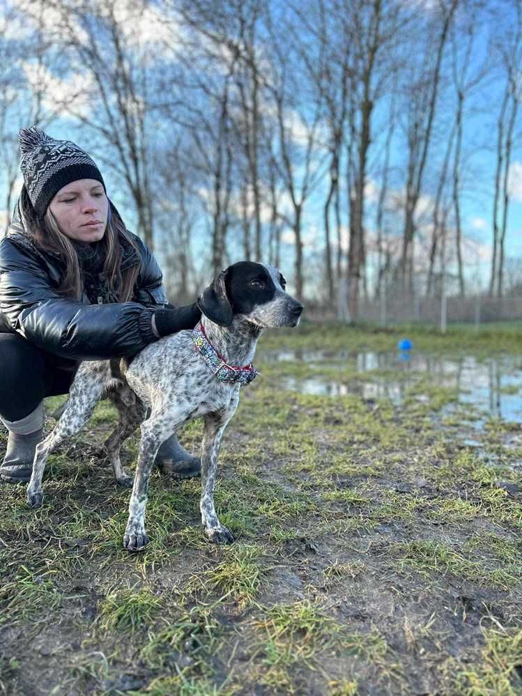 Cierpi w schronisku,łagodny,aktywny piesek SPEEDE.Adopcja