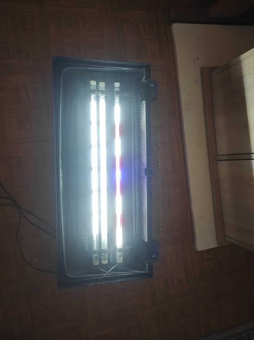 Akwarium 140l + szafka + pokrywa z oświetleniem
