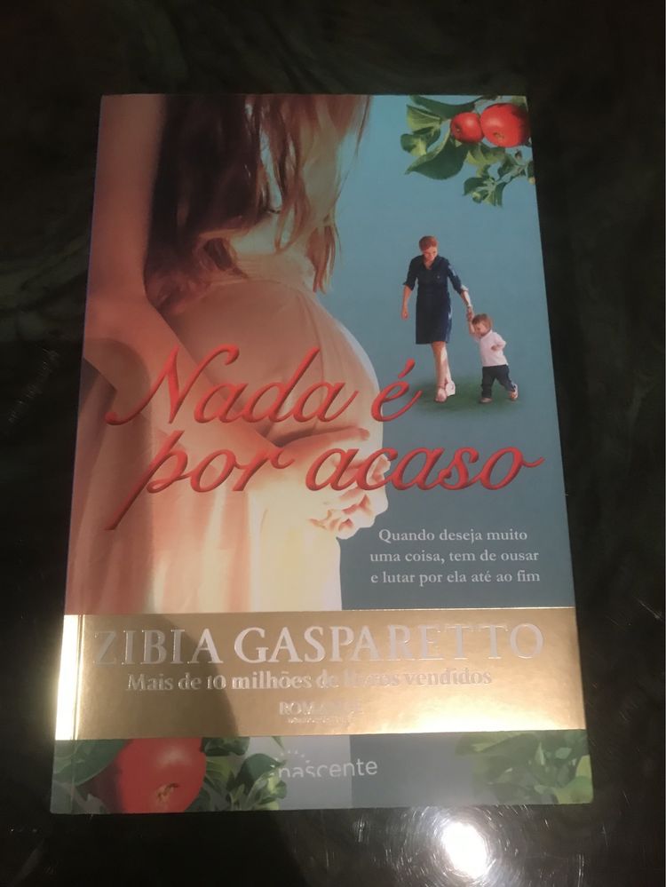 Livro nada é por acaso