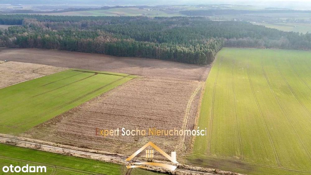 Działki położone w Kaninie gmina Nowa Wieś Lęborsk