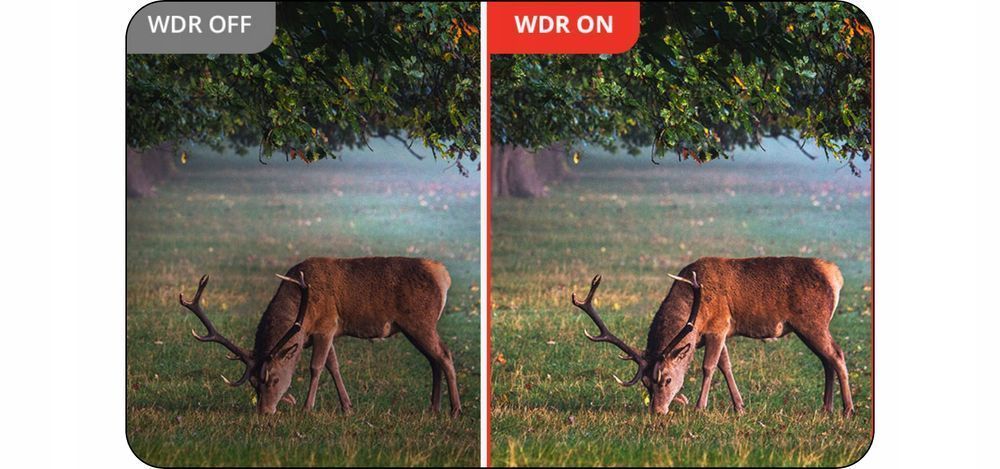 Lornetka Termowizyjna Termowizor 3w1 HIKMICRO HABROK PRO HQ50L LRF 850