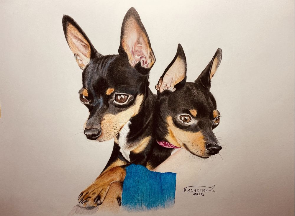 Retratos canino/felino desenhados à mão