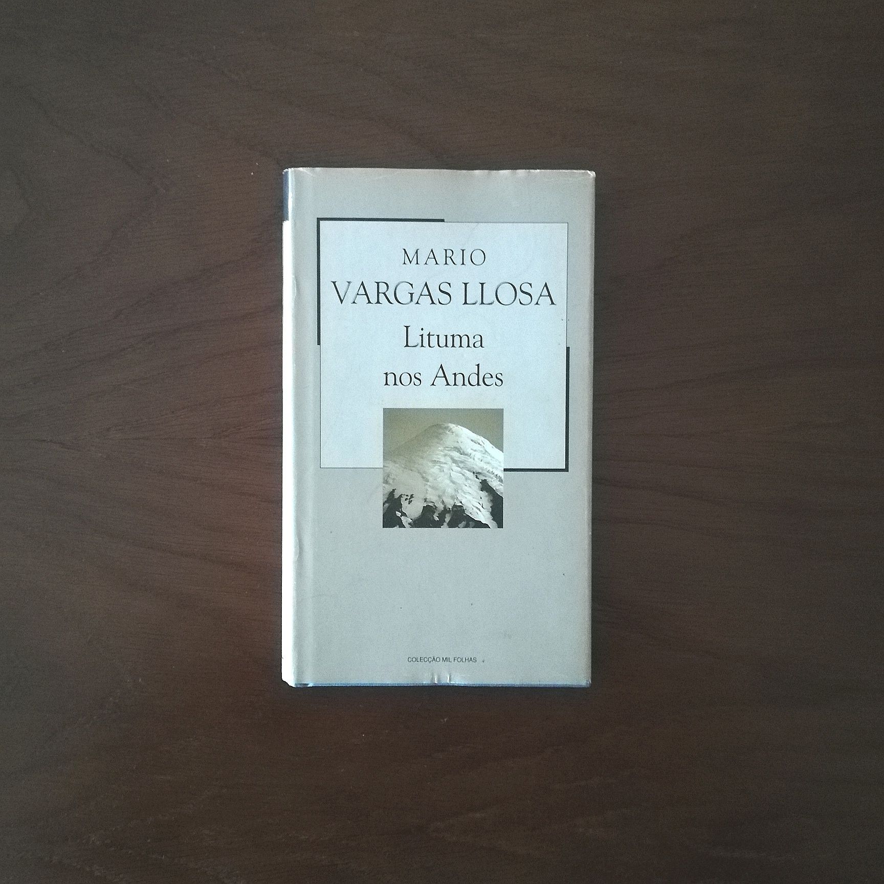 "Lituma nos Andes" de Mário Vargas Llosa 

Entrega em mãos em Vila Nov