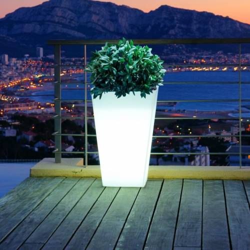 Vasos led decorativos