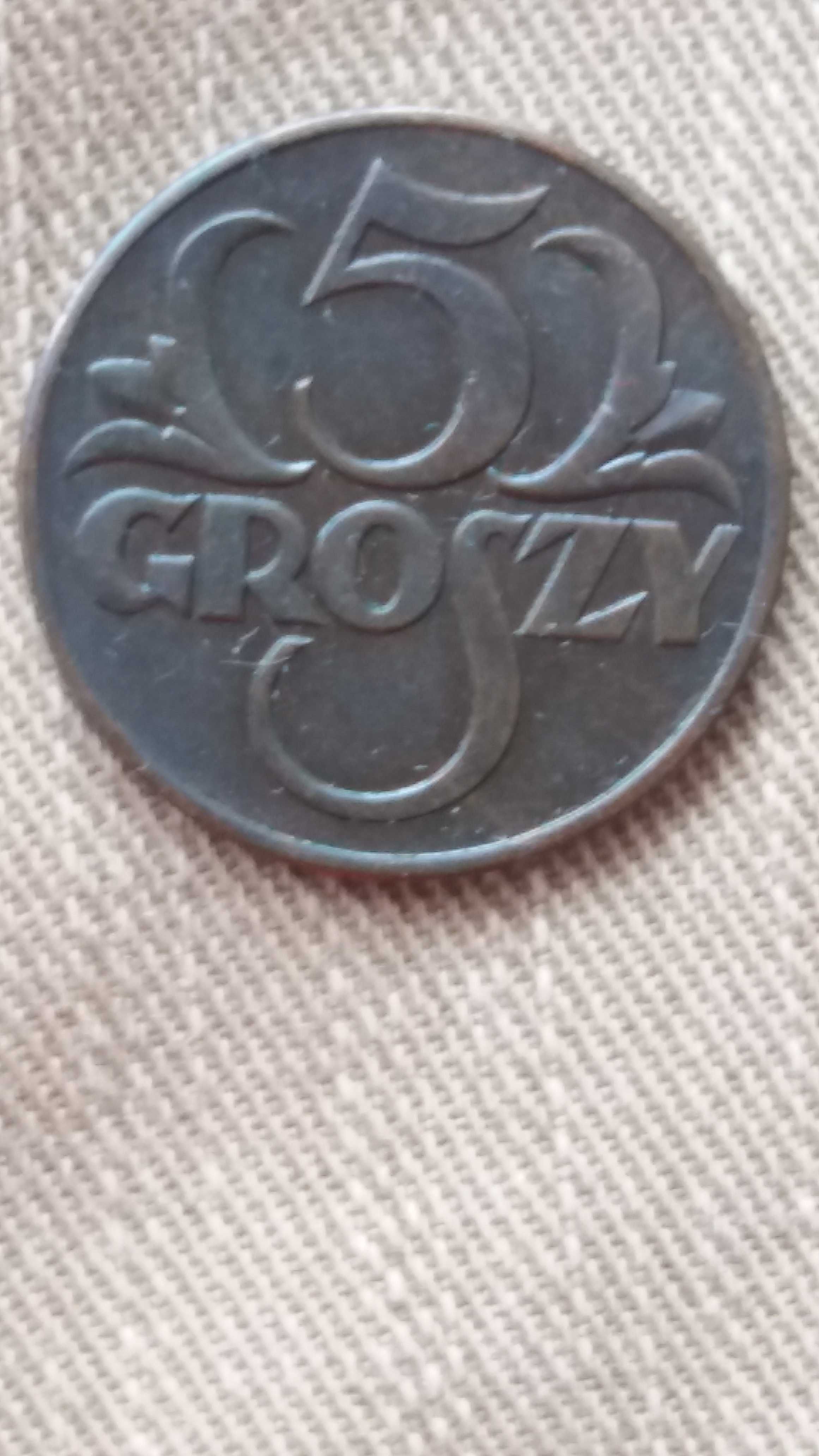 DS M079 stara moneta 5 gr groszy 1938 Polska starocie wyprzedaż