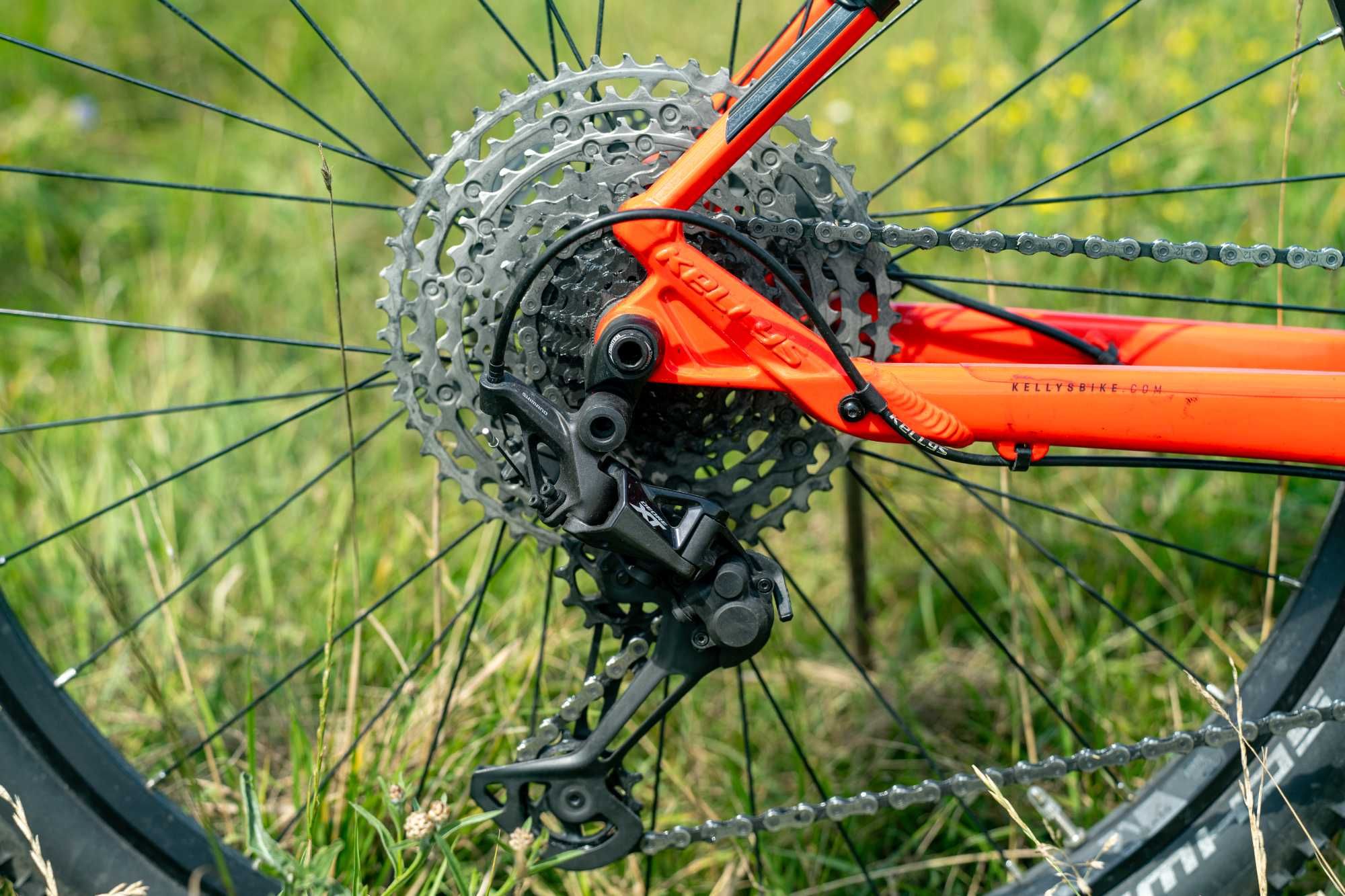 Rower MTB XC Kellys Gate 50 L z regulowaną sztycą i innymi dodatkami