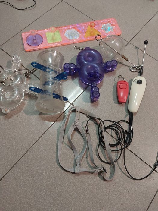 Brinquedos de papagaio e arnes