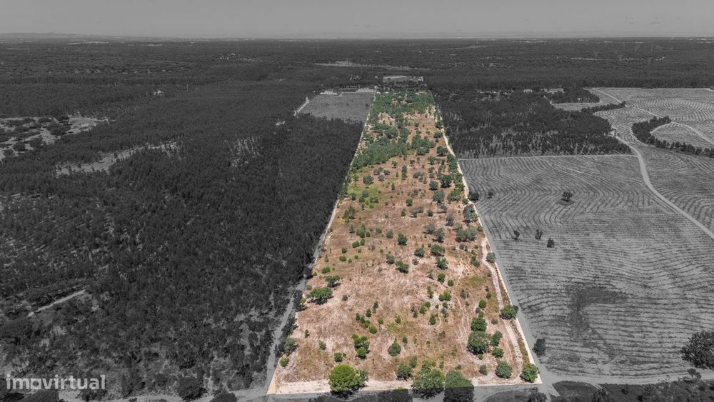 Terreno  para venda