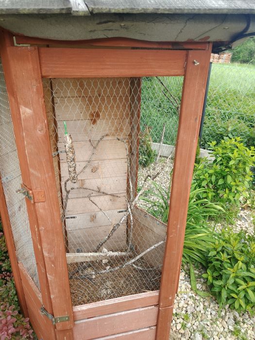 WOLIERA klatka drewniana dla ptaków papug kanarków