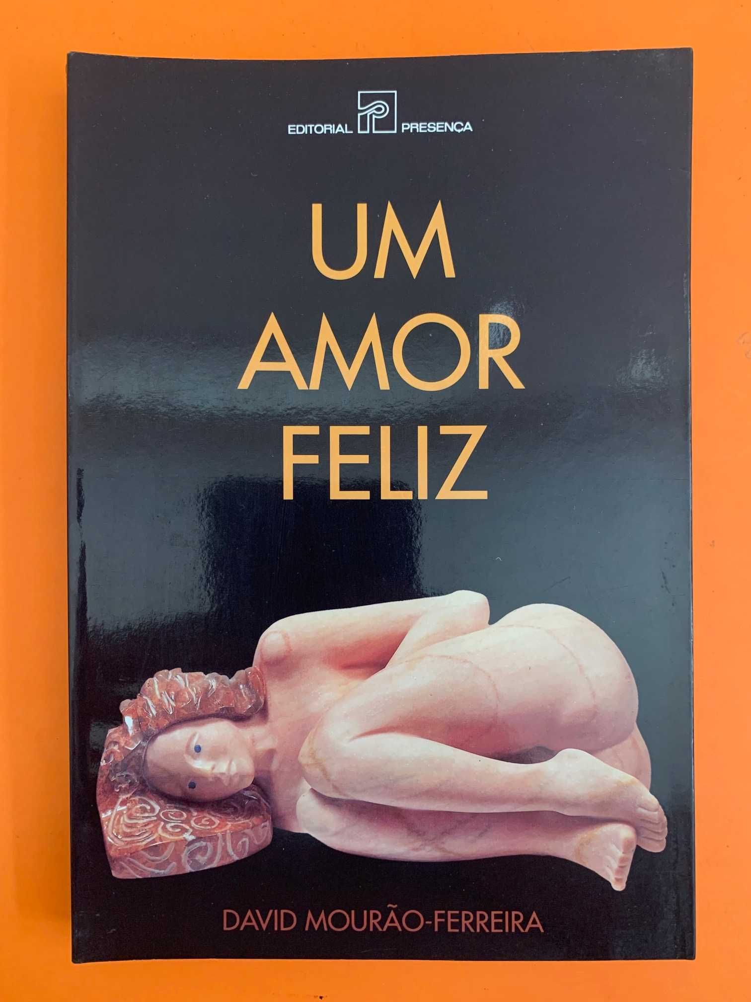 Um Amor Feliz - David Mourão-Ferreira