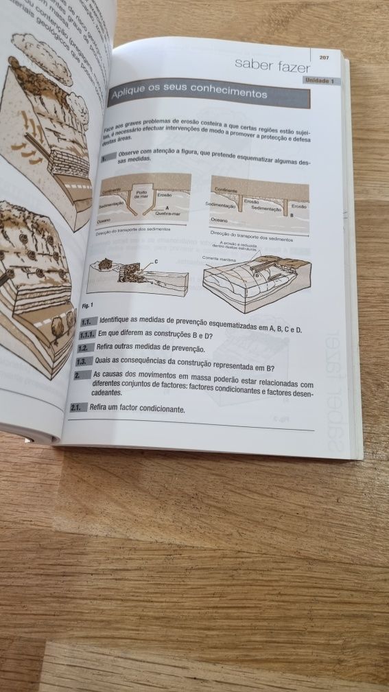 Biologia e geologia o essencial 11 ano