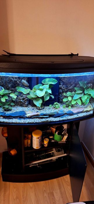 Vendo Aquario 200 litros personalizado