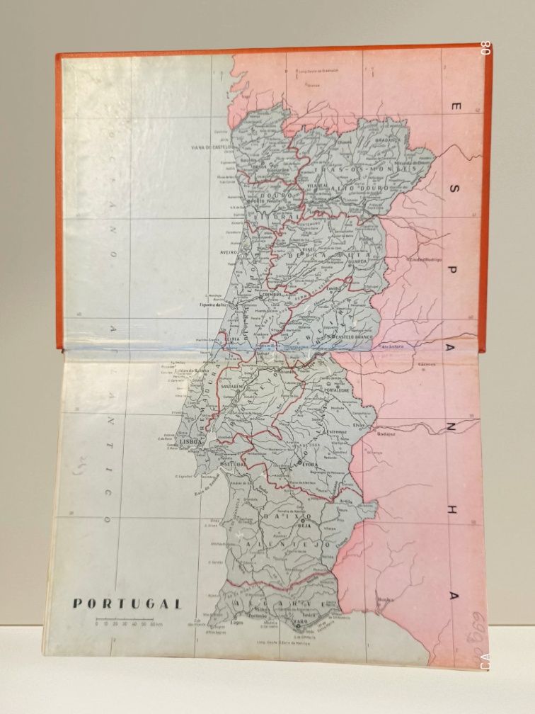 Dicionário Prático Ilustrado