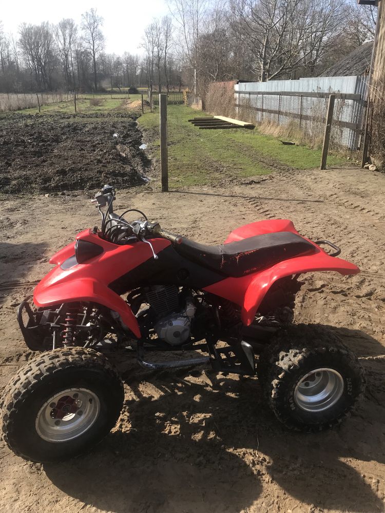 Trx 400 (ltz kfx yzf ltr)