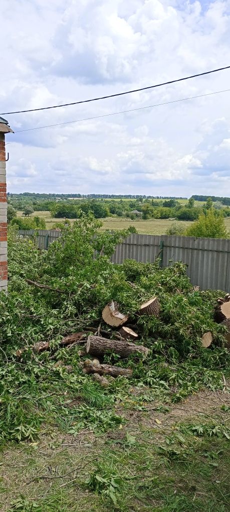 Видалення дерев чистка ділянки видалення пеньків