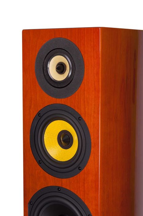 Davis Acoustics Sisley HD - francuskie kolumny głośnikowe [wyprzedaż]