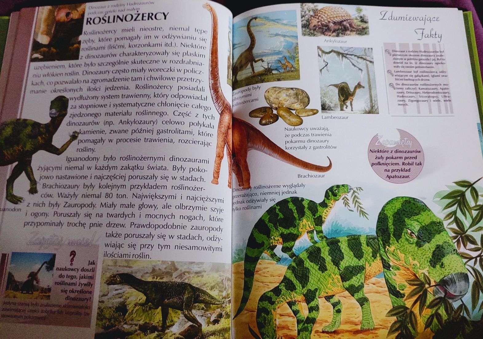 Dinozaury – książka dla dzieci