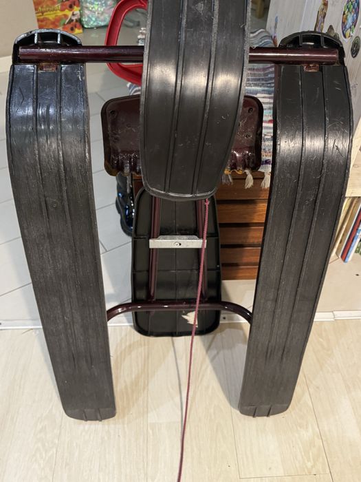 Сани (чукі гек)