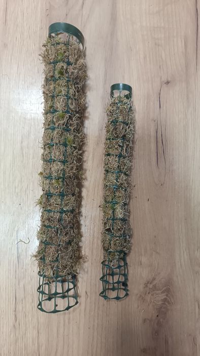 Моховий тотем для кімнатних рослин