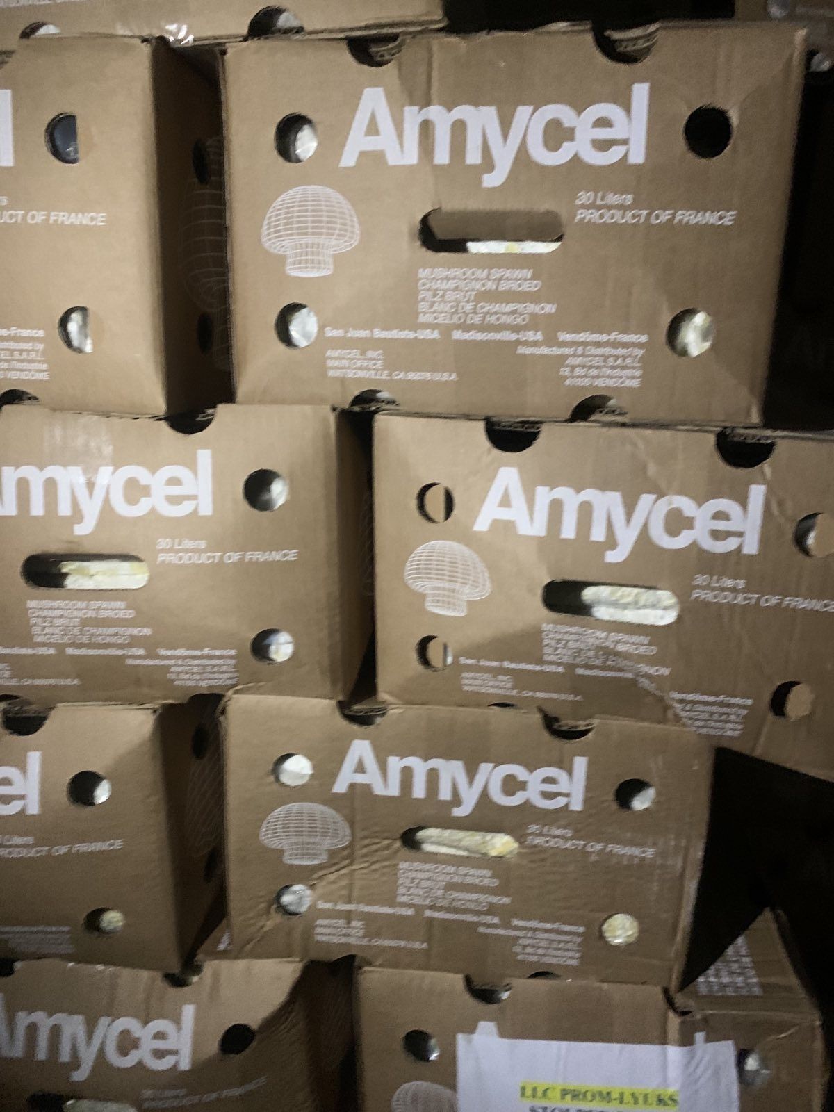 Міцелій Печериць(Шампиньон), упаковка 9 кг з фільтром Amycel Exxcalibu