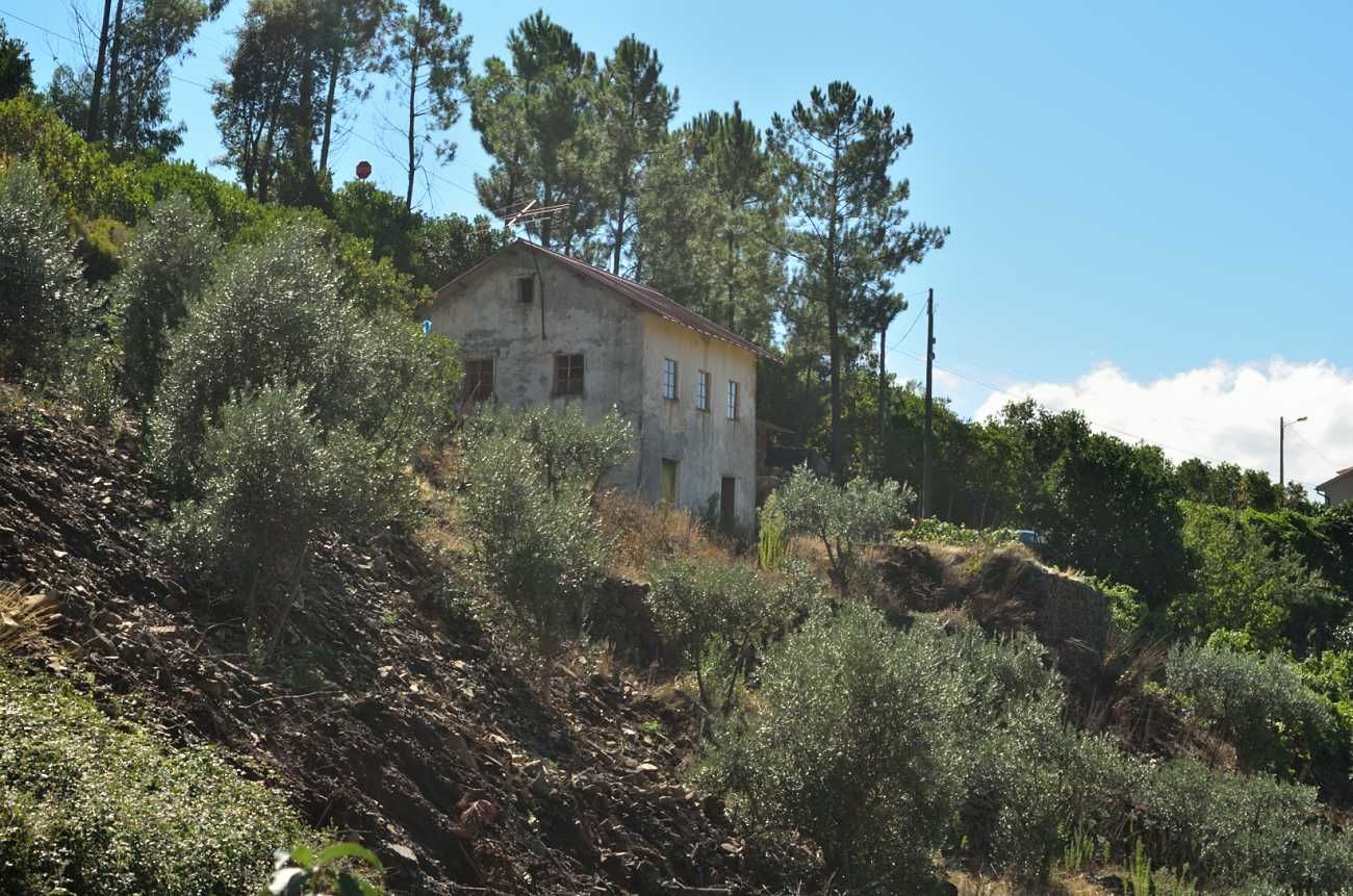 Casa antiga e terreno