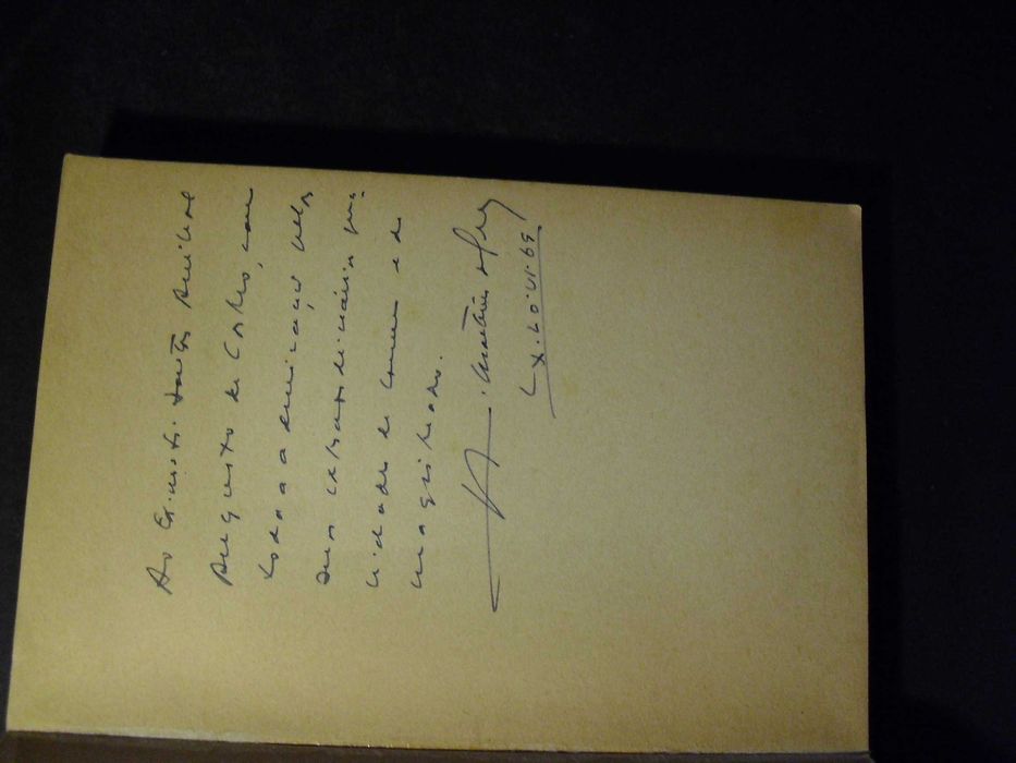 Cruz (António Martins da);Preocupações de um Deputado