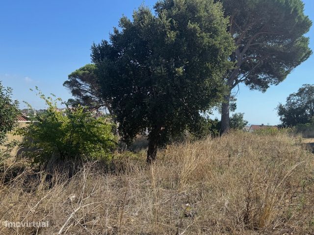 Terreno Alcabideche com projeto aprovado