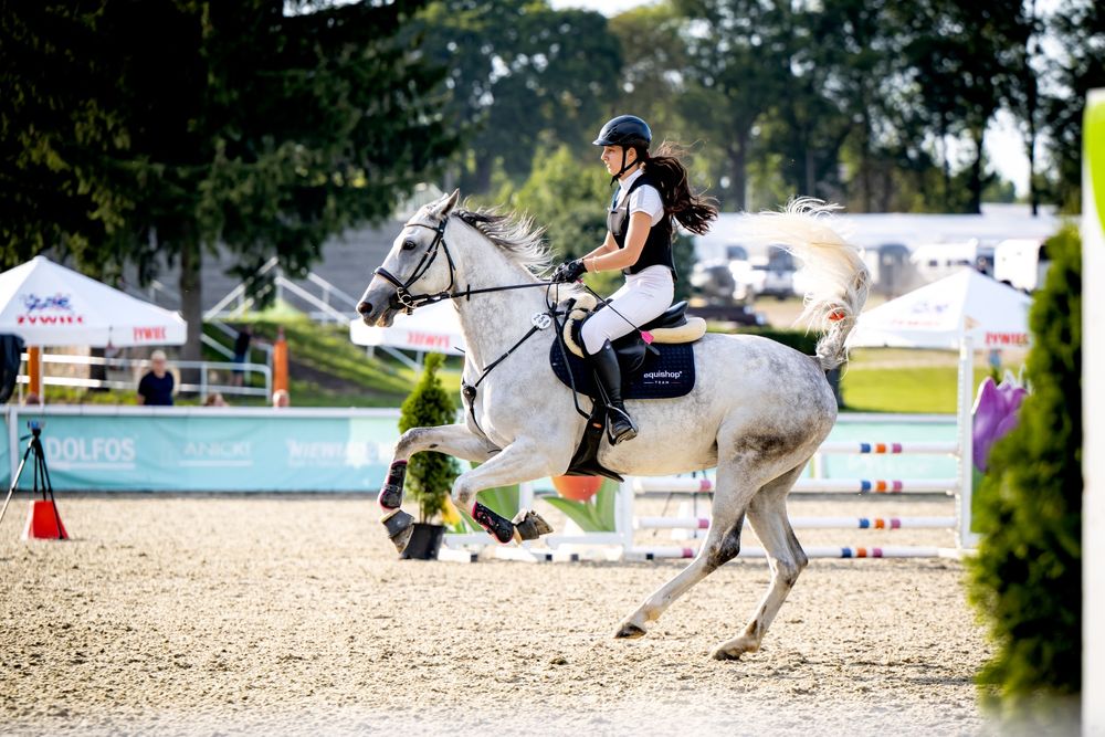 Klacz polski koń sportowy na sprzedaż