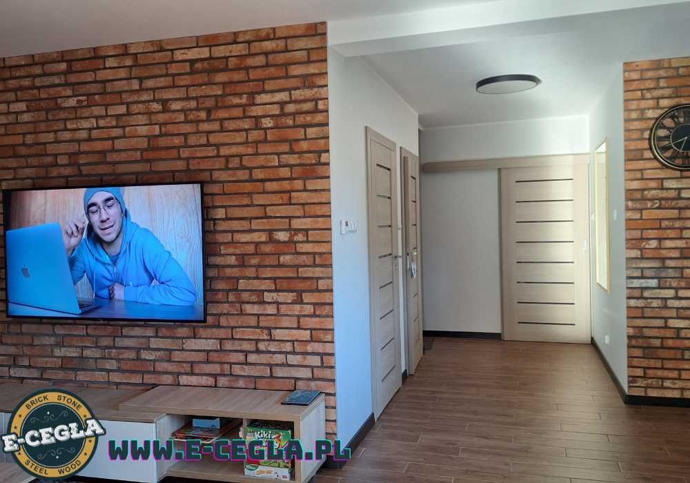 Cegła na ścianę | Płytki z naturalnej cegły rozbiórkowej | Loft