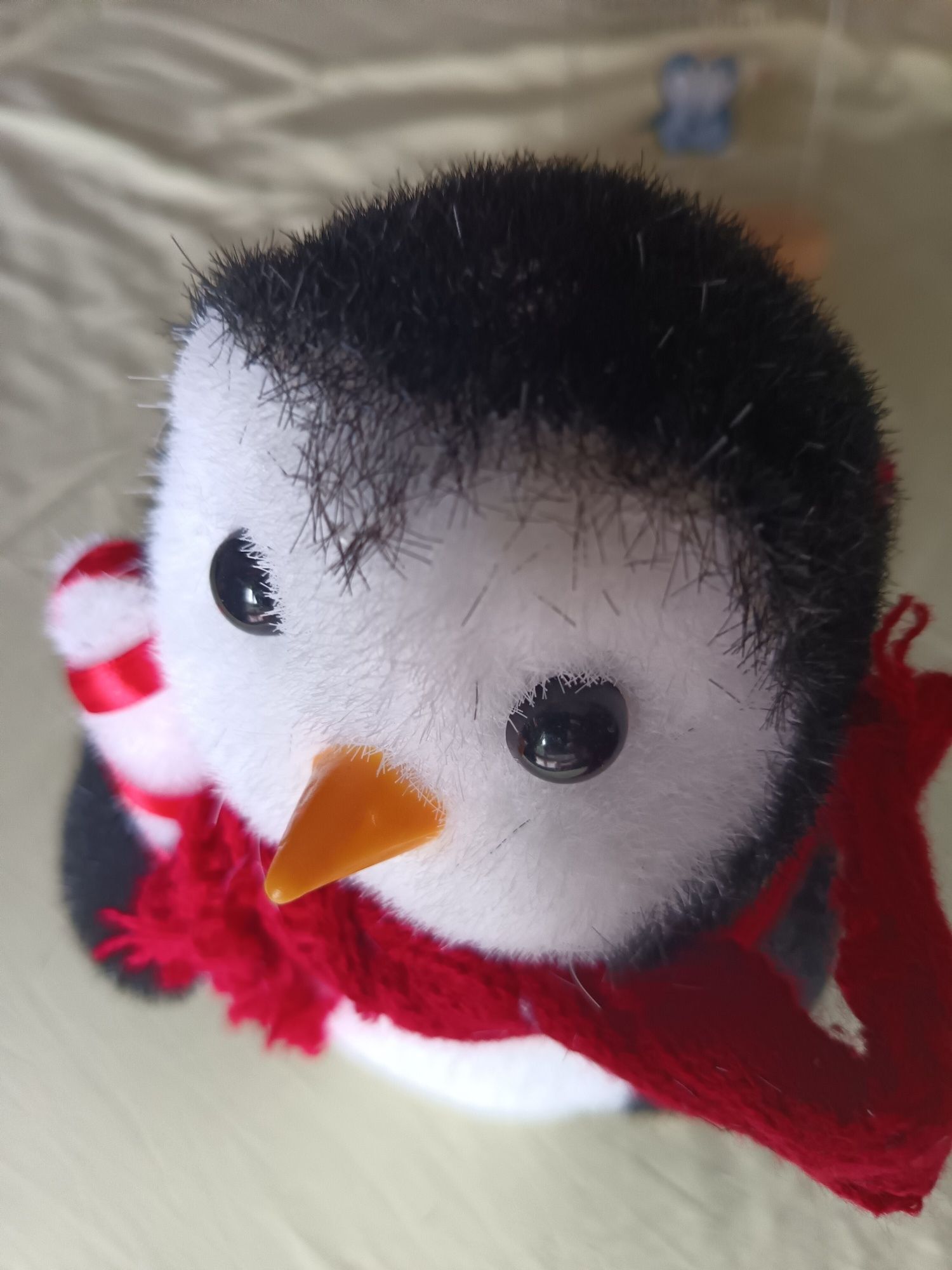 Pinguim esforite