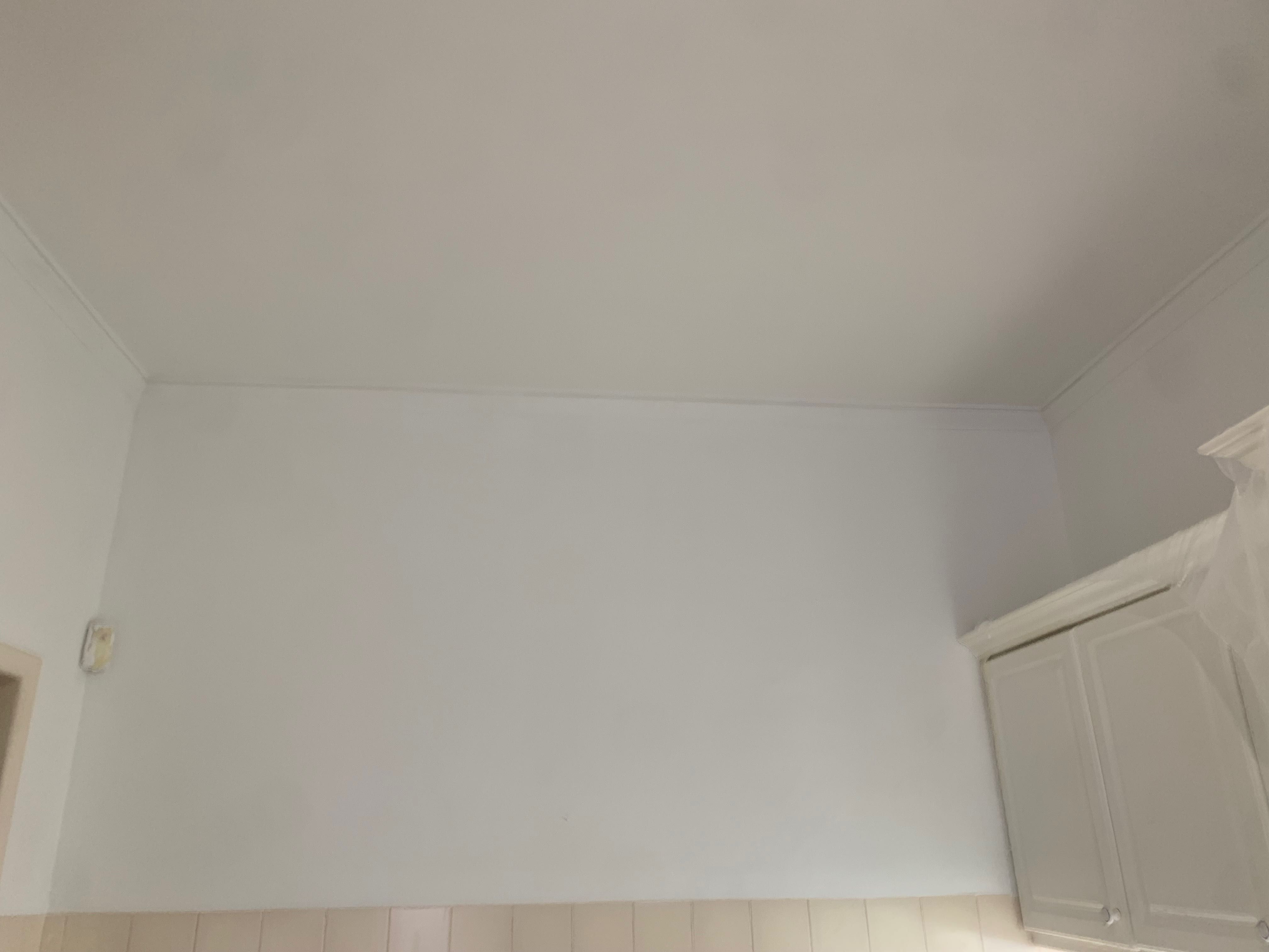 Faço Pinturas e Reparações