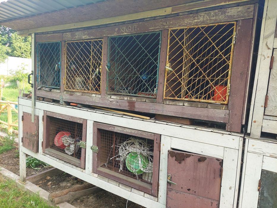 Продам гарні кролячі клітки б / у