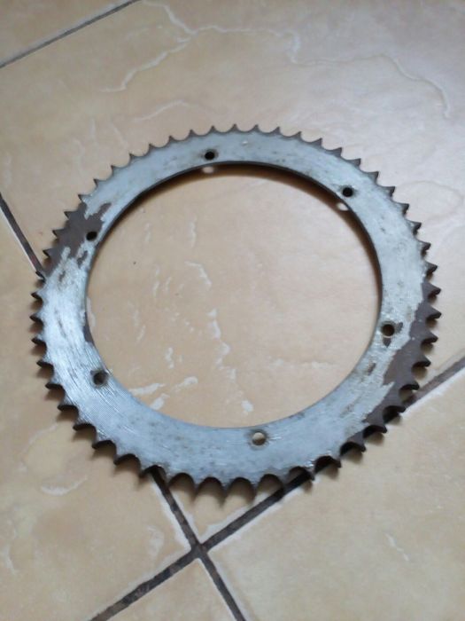 Zębatka tylna panonia oryginalną