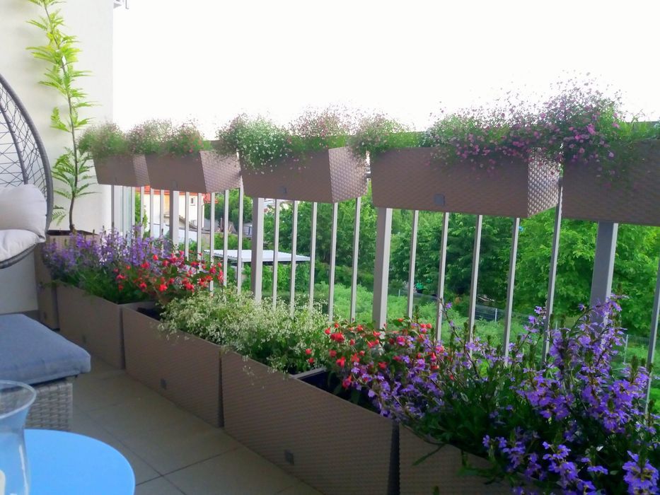 doniczka samonawadniająca rato case drtc600 | antracyt