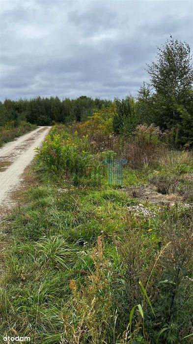 Działka Osielsko/Niemcz Osiedle Willowe