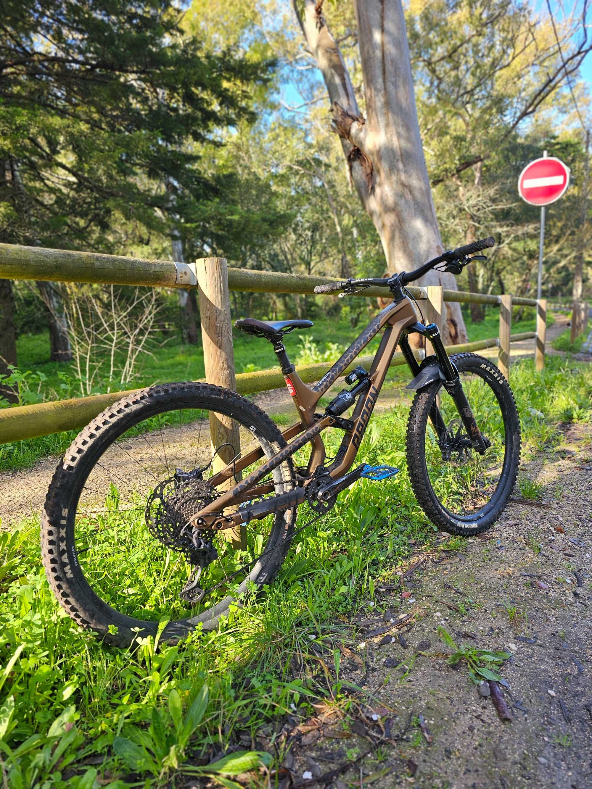 Radon Swoop 10.0 (M)