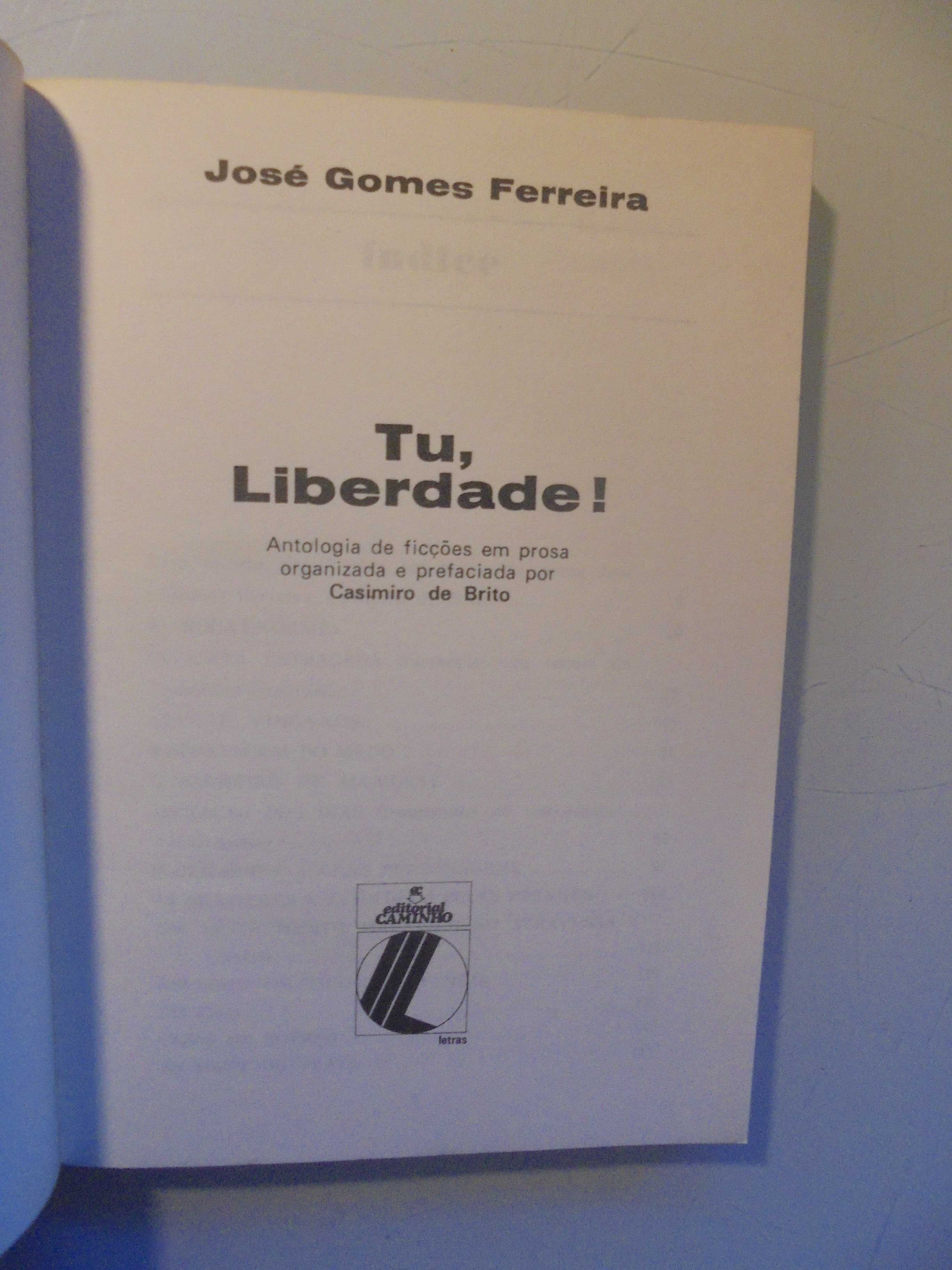 Ferreira (José Gomes);Tu Liberdade-Antologia de Ficções em Prosa