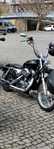 Harley davidson xl 1200