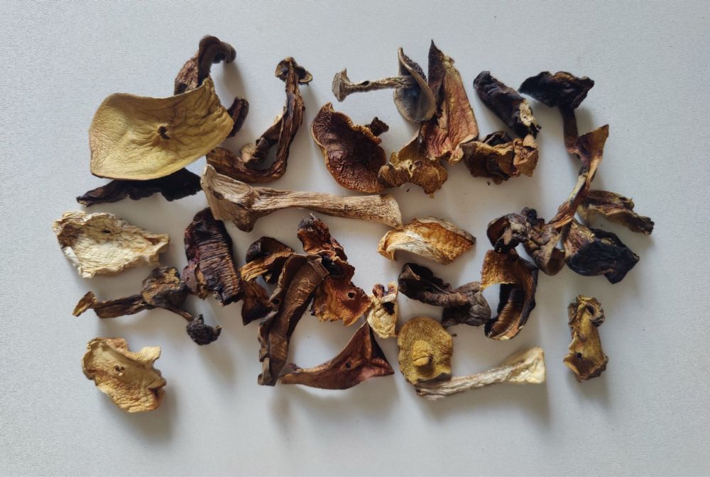 Suszone grzyby leśne – mieszanka | Aromatyczne i naturalne!